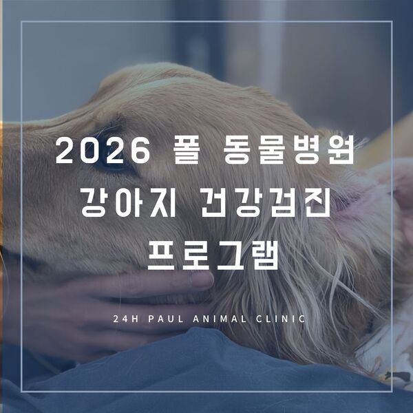 강아지 건강검진